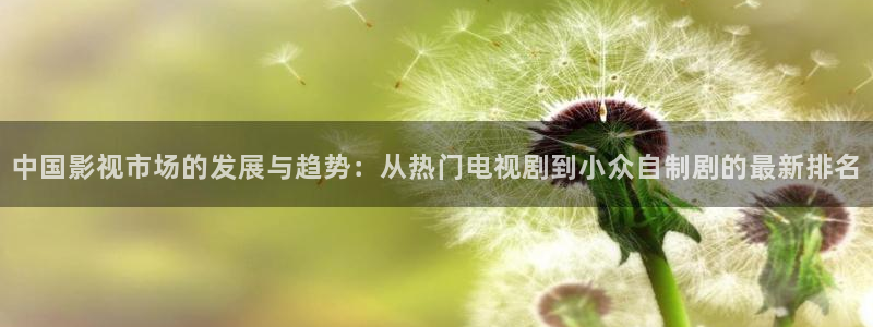 超爱人人碰：中国影视市场的发展与趋势：从热门电视剧到小众自制剧的最新排名
