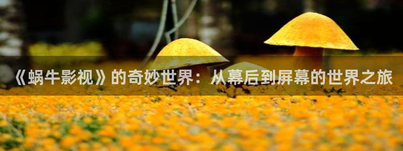 理论片人人影院：《蜗牛影视》的奇妙世界：从幕后到屏幕的世界之旅