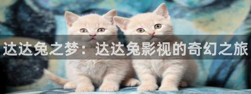 人人播
