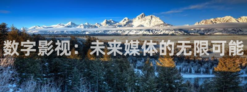 人人影视首页：数字影视：未来媒体的无限可能