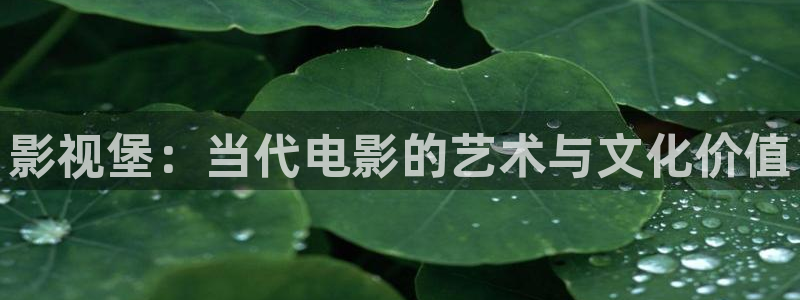 最新视频天天人人2019：影视堡：当代电影的艺术与文化价值